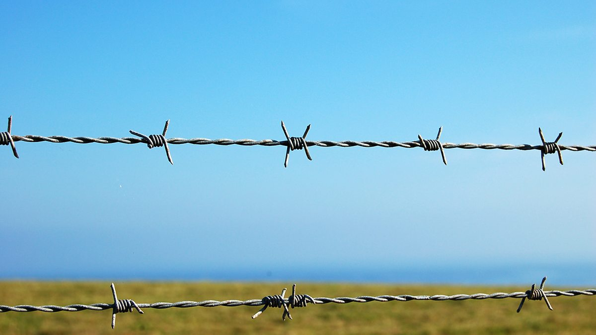 কাঁটাতারের বেড়া | Barbed Wire Fence - ছবি 2