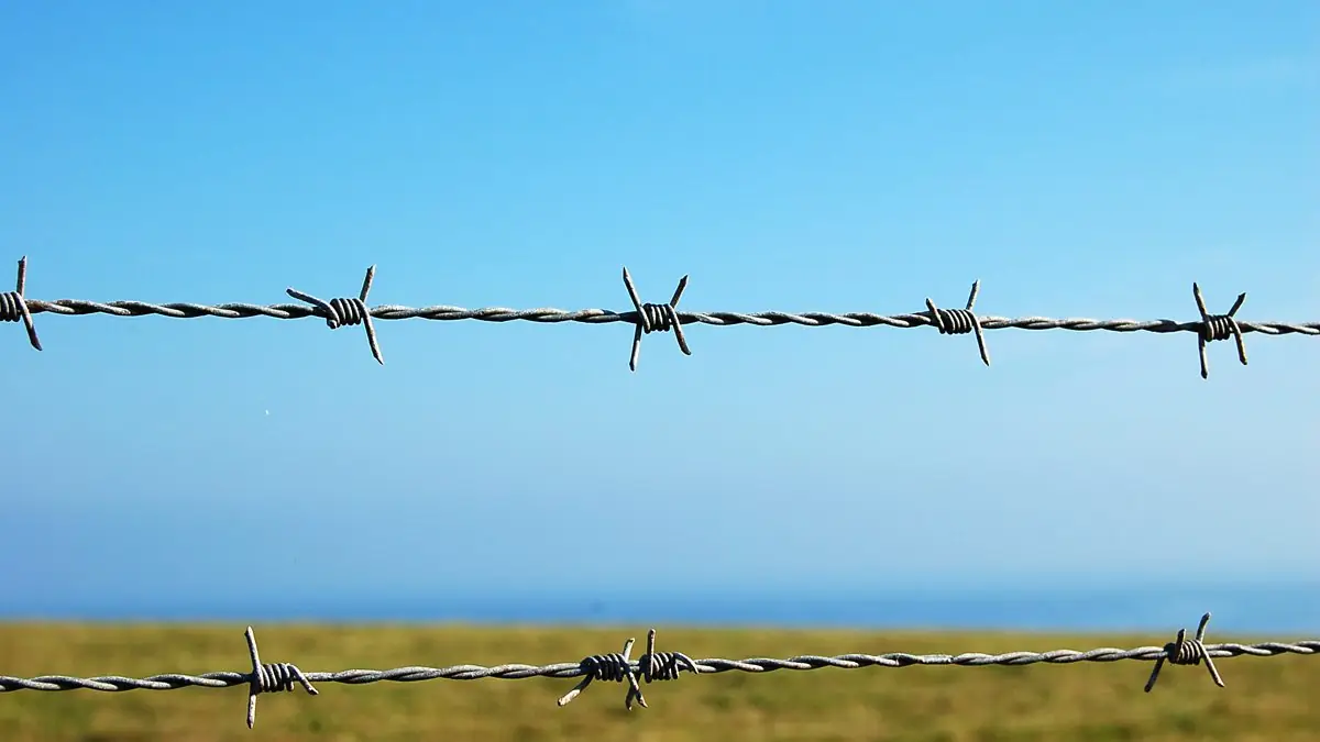 কাঁটাতারের বেড়া | Barbed Wire Fence - ছবি 2