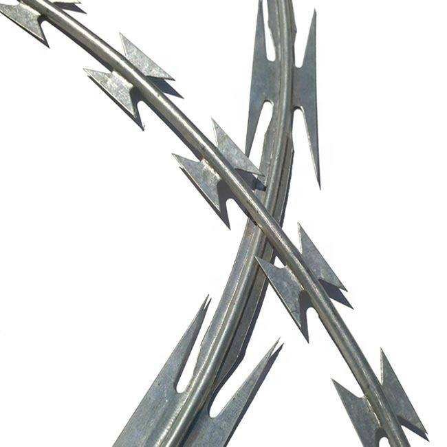 ব্লেড তারের বেড়া | Razor Wire Fence - ছবি 2