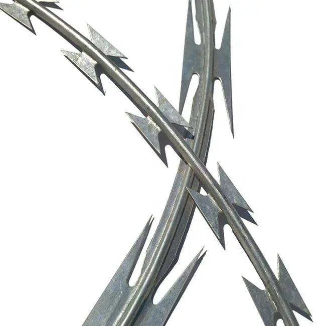 ব্লেড তারের বেড়া | Razor Wire Fence - ছবি 2